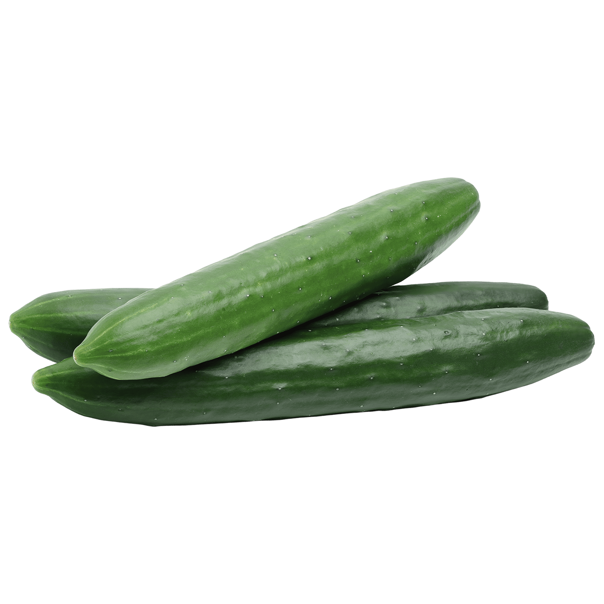 00000000000748.png