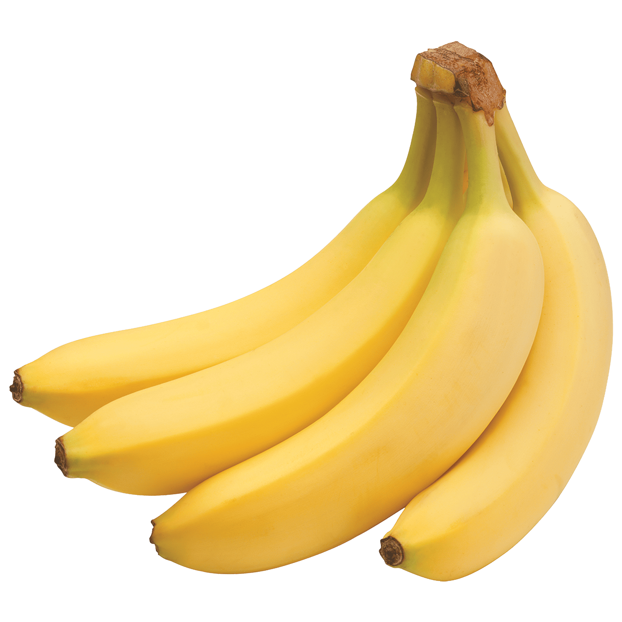 00000000000210.png