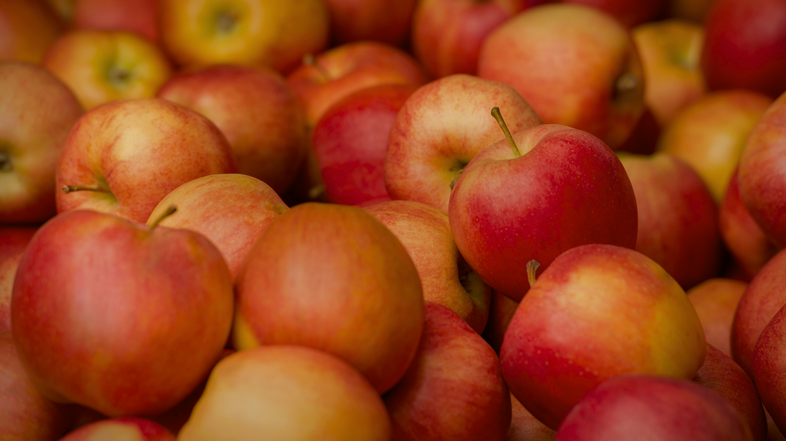 Website+Banner+(2).webp