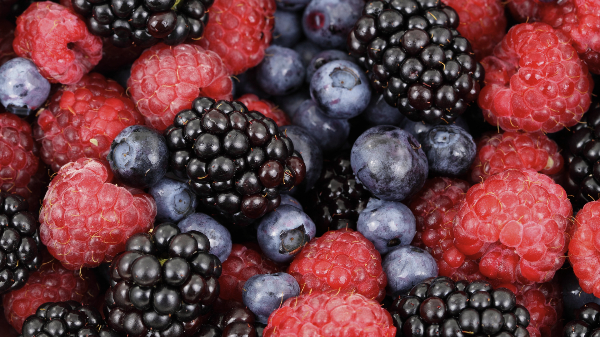 Untitled design (2).png