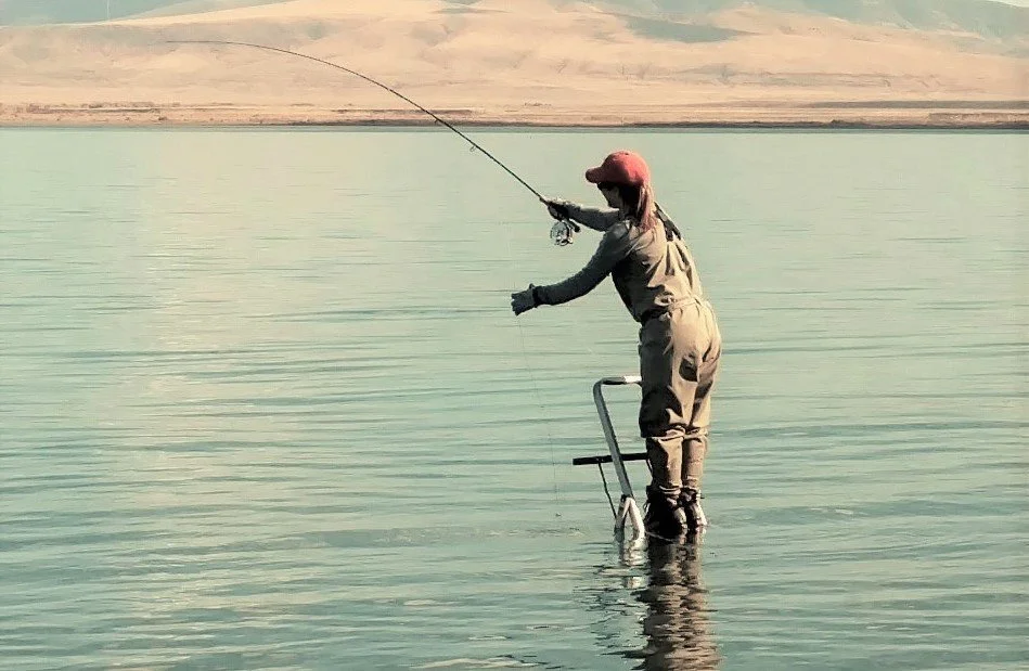 Even though I could not yet fully comprehend 1 Peter 5:10, i grasped it with a sense of assurance and event anticipation that one day I would be fully healedand thriving in life once again too. The scripture describes the phenomenon of healing: 'And 