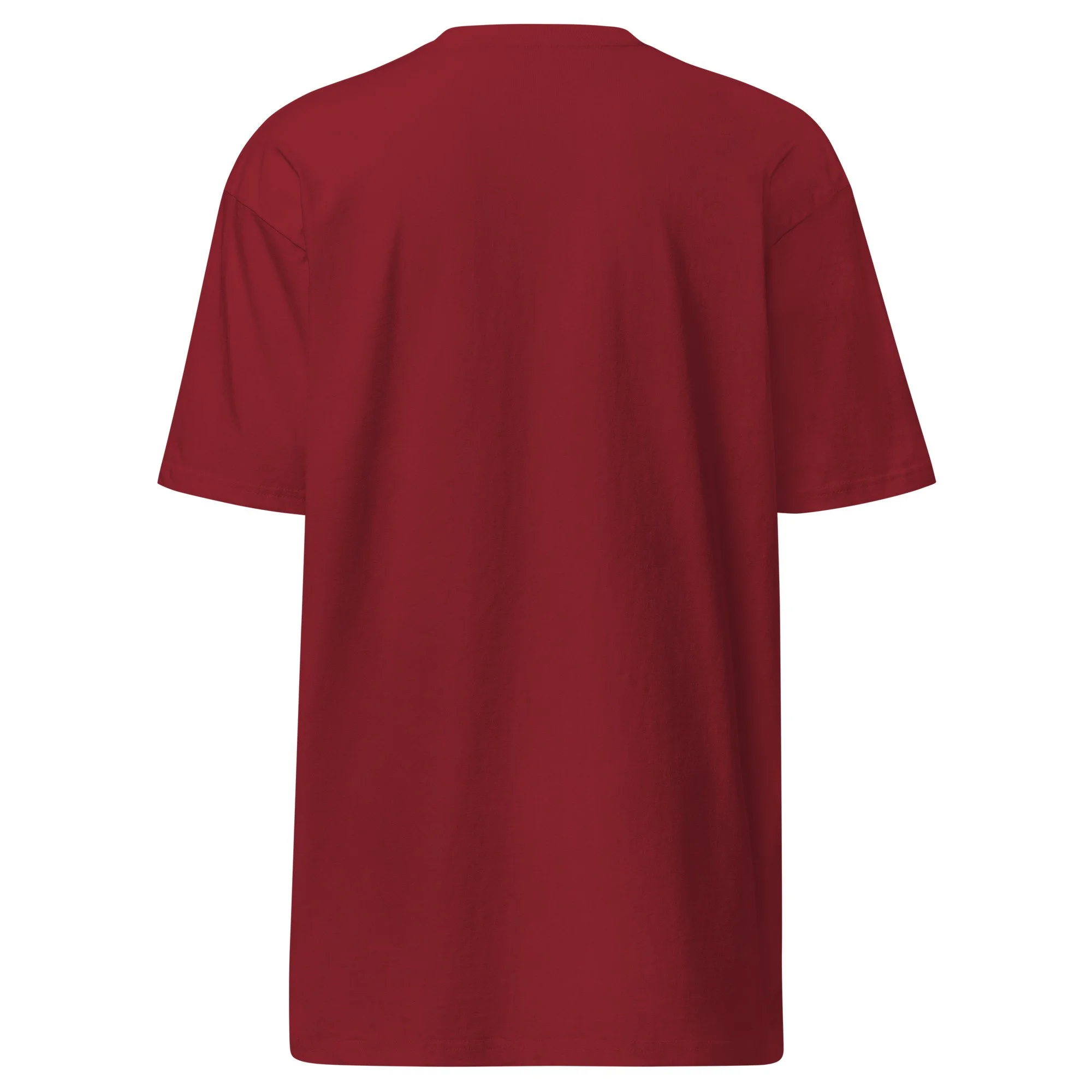 mens-premium-heavyweight-tee-brick-red-back-699216ee25449.jpg