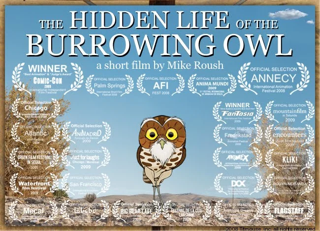The Hidden Life Of The Burrowing Owl.jpeg