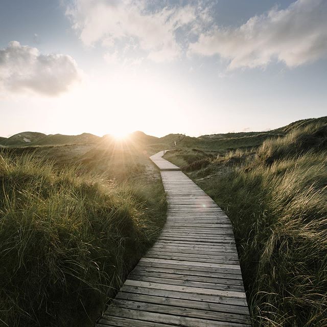 #amrum #boardwalk #natur #beautyinnature  #sunset #wattenmeer #nordsee