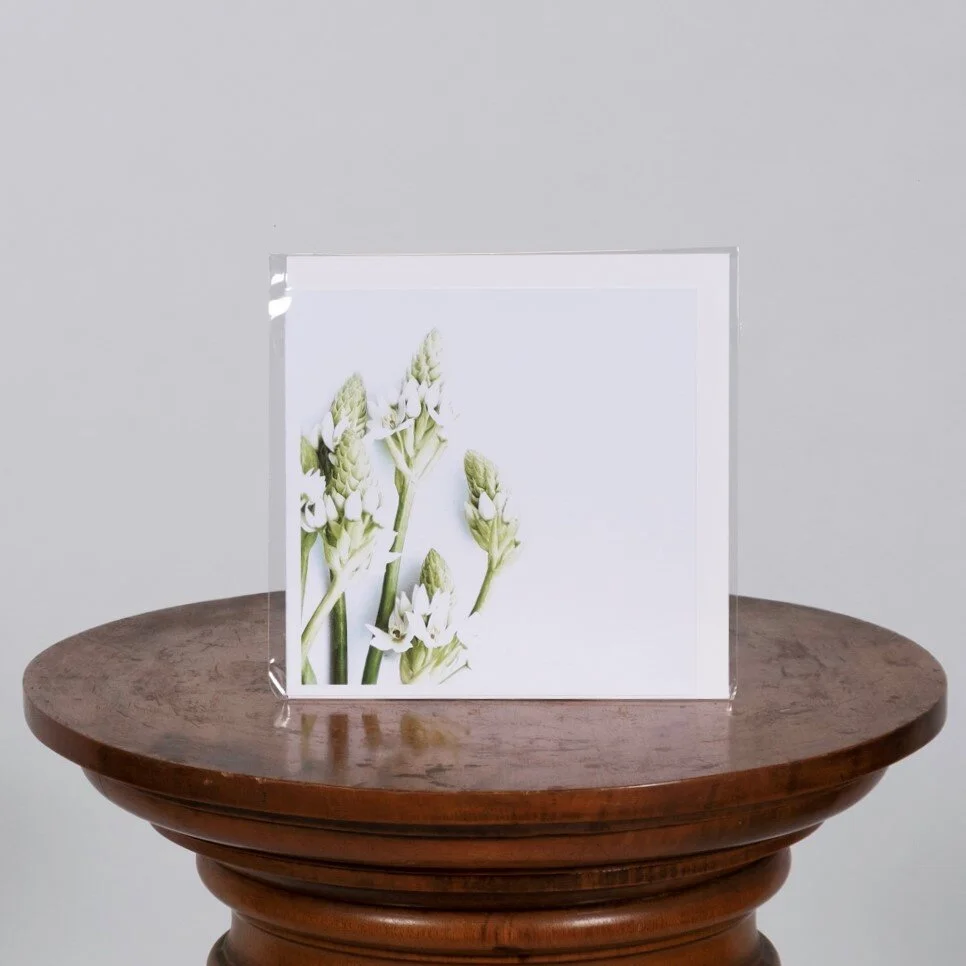 byronbayflorist (103 of 132) (2).jpg