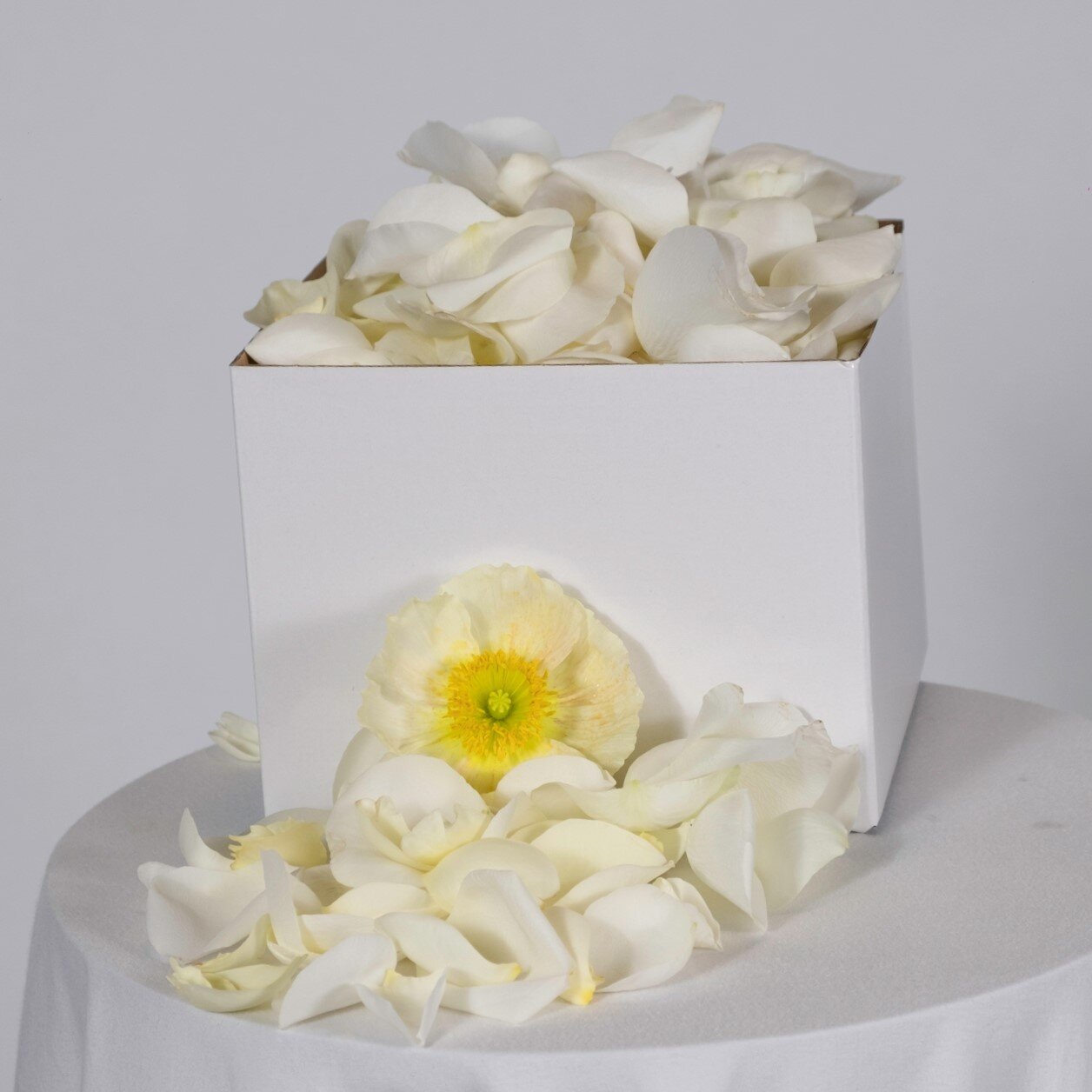 byronbayflorist (9 of 29) (2).jpg