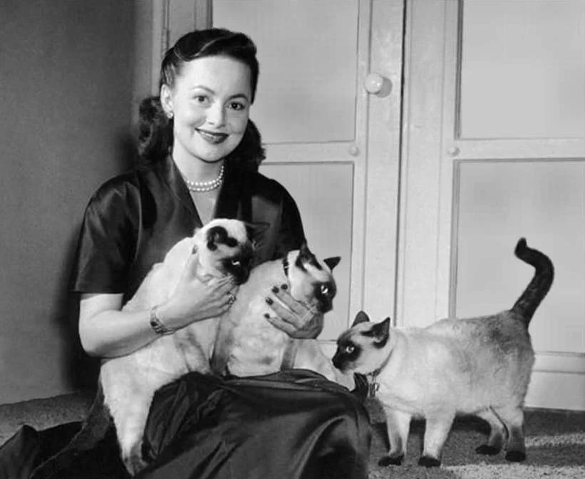 Flashback: John Huston and Olivia de Havilland