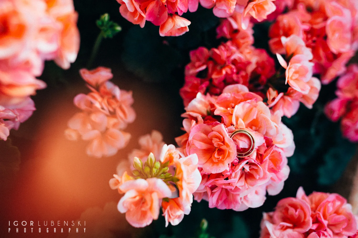 untitled-65.jpg
