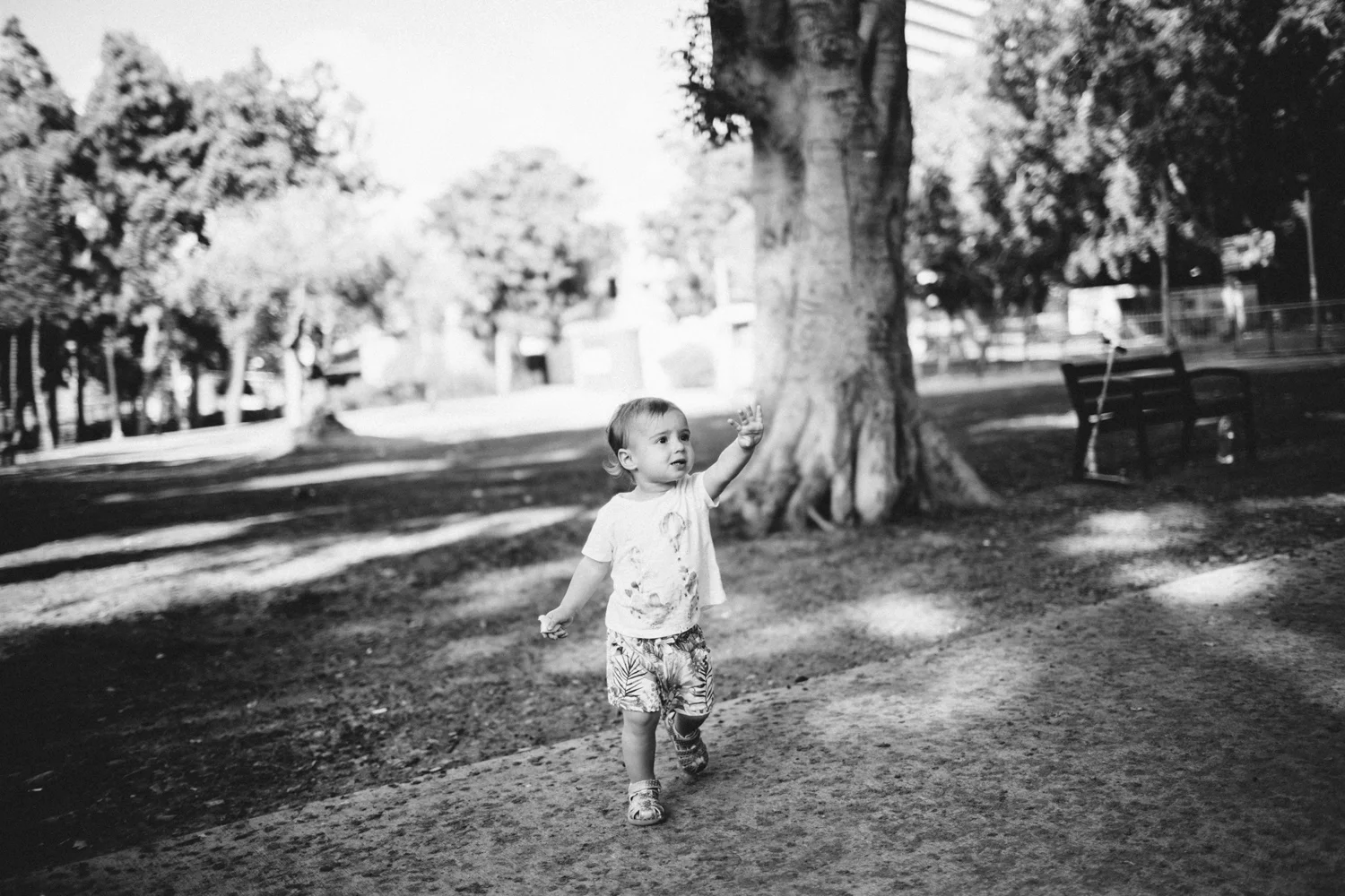 untitled-38.jpg