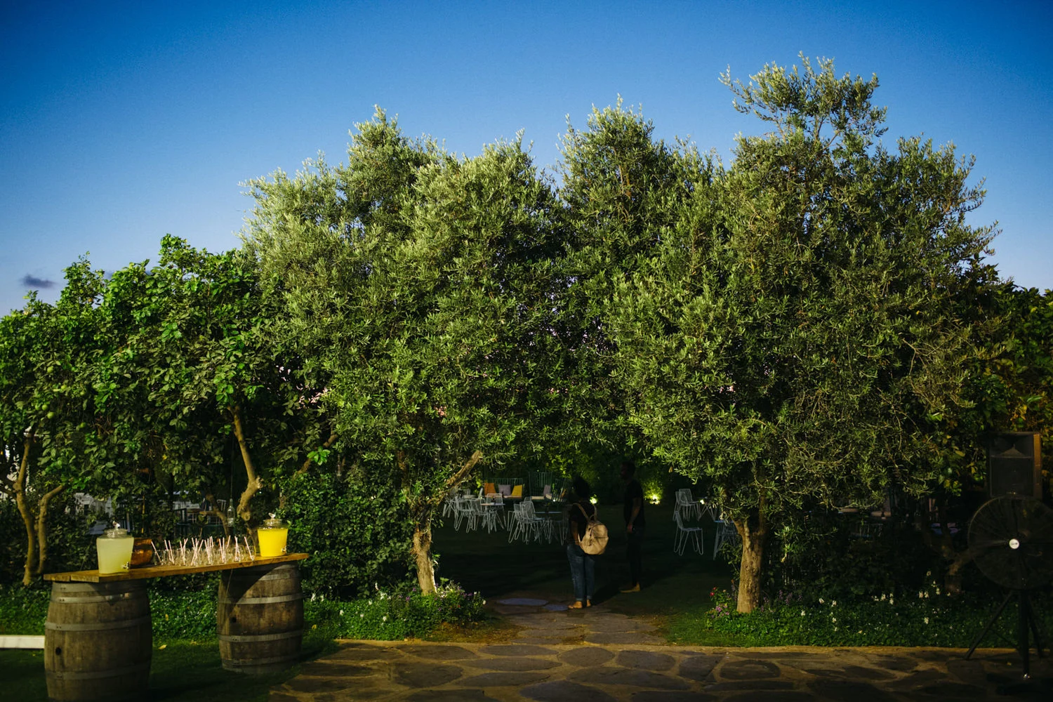 Ravit&Erez_by_Igor Lubenski-93.jpg