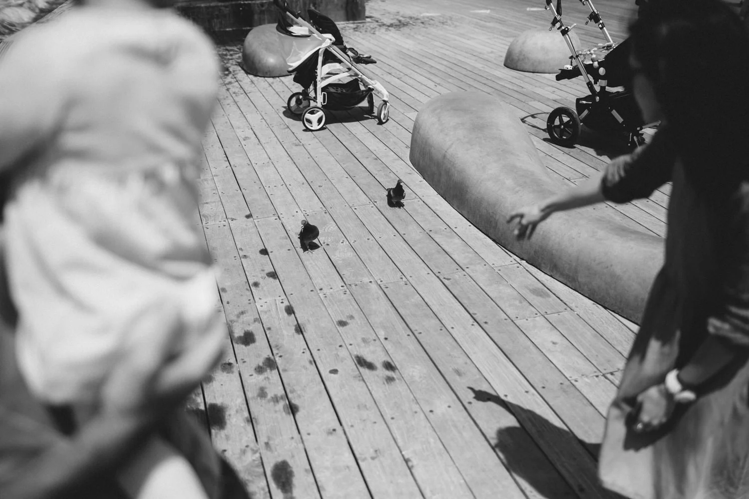 untitled-25.jpg