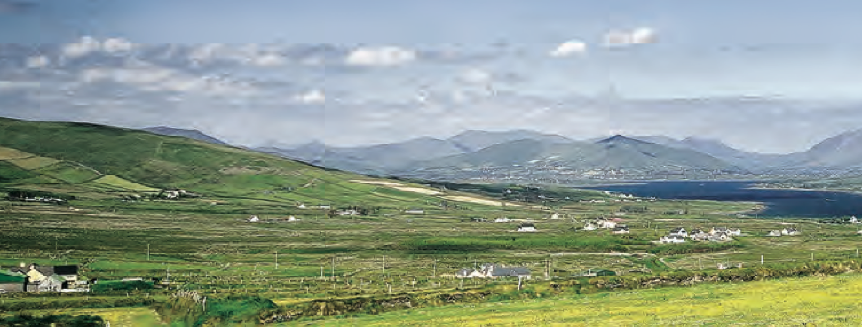 Understanding Asia's Appetite for Irish Food