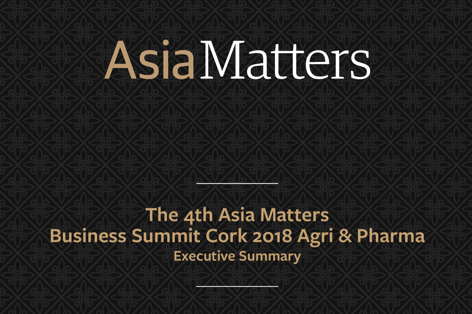 Asia Matters Cork Summit—Executive Summary day 2