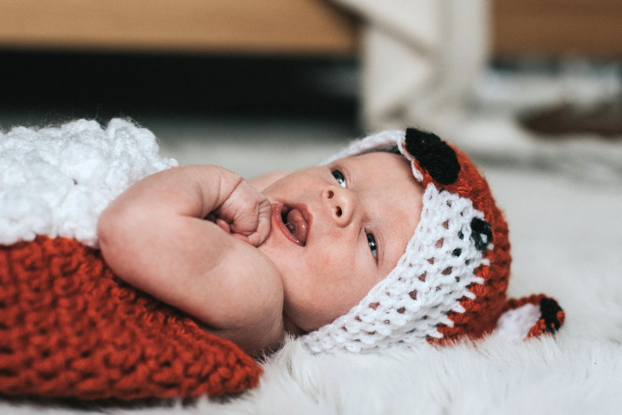 Fox NewBorn Photography Photographer Kent Tunbridge Studio-3.jpg