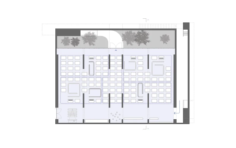 plantas--para-site.jpg