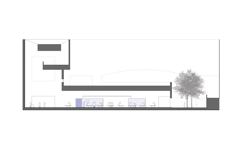 plantas--para-site4.jpg