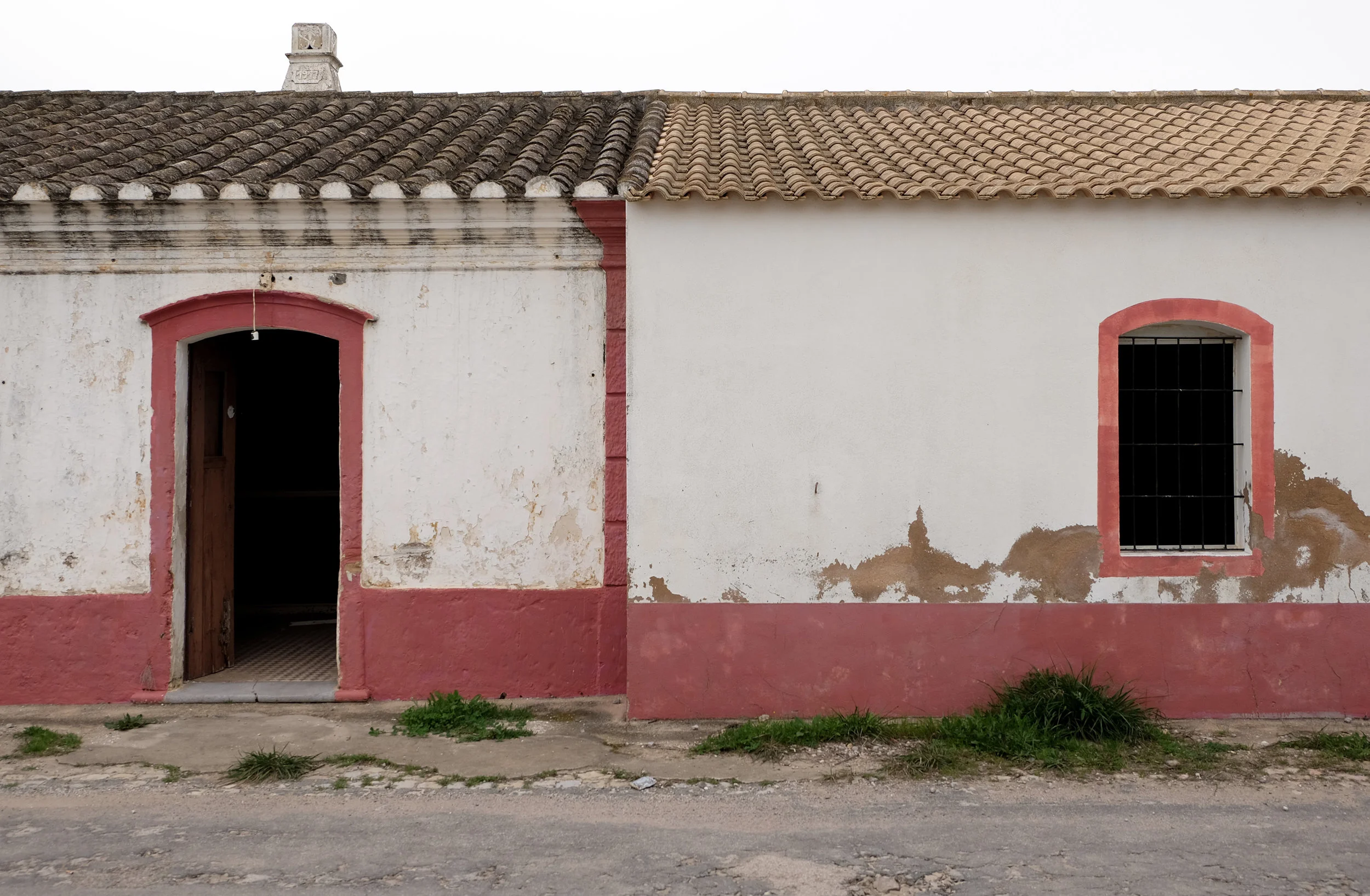 DSCF4974.jpg