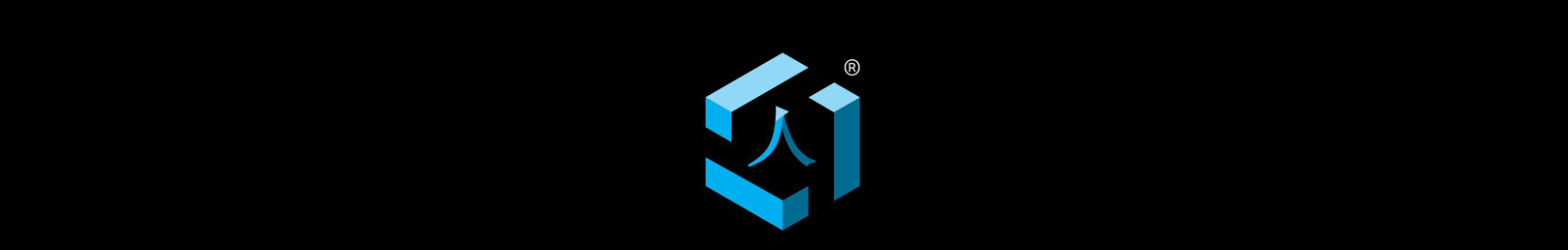 logo for website banner (2).png