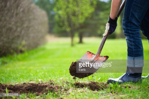Photo by Eerik/iStock / Getty Images