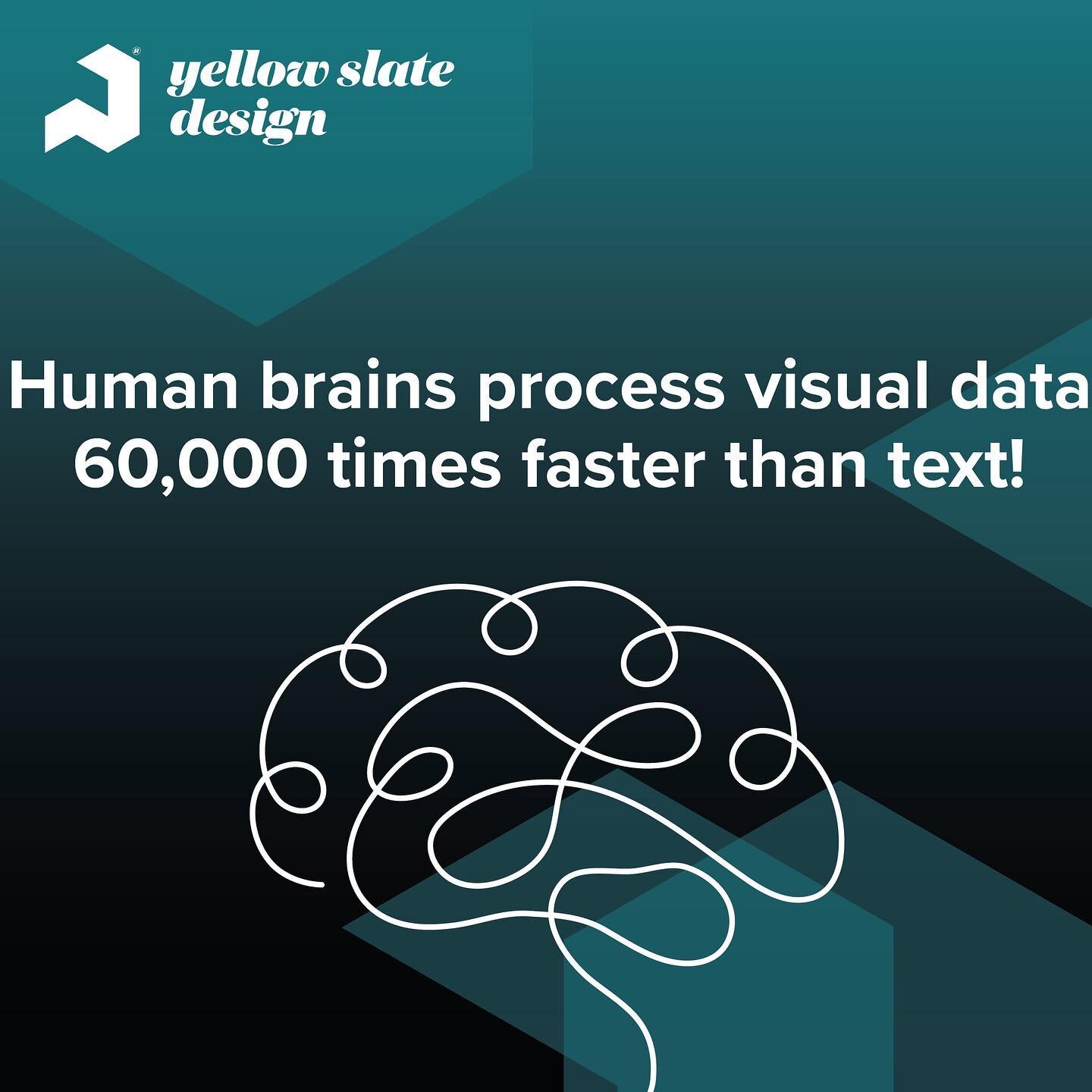 According to the University of Minnesota, the human brain can process images up to 60,000 times faster than text 😲

The human brain is more capable of processing visuals than text or audio 🧠

#graphicdesign #creative #designfacts #design #glasgow #