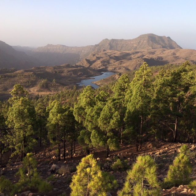Presa de las Ninas