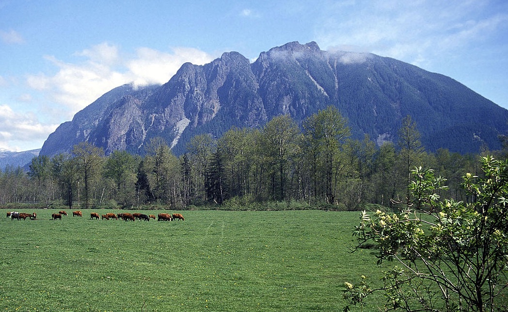Photo by Mountains to Sound Greenway Trust
