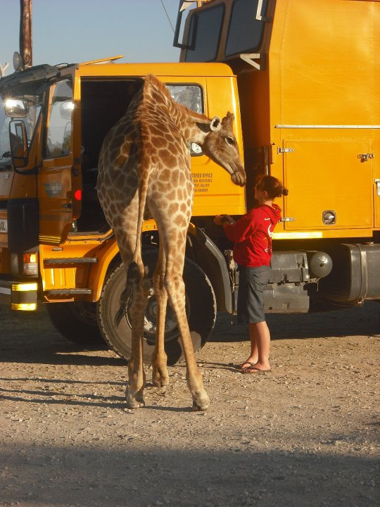 adventure travel outdoors wellbeing Giraffe 1.jpg