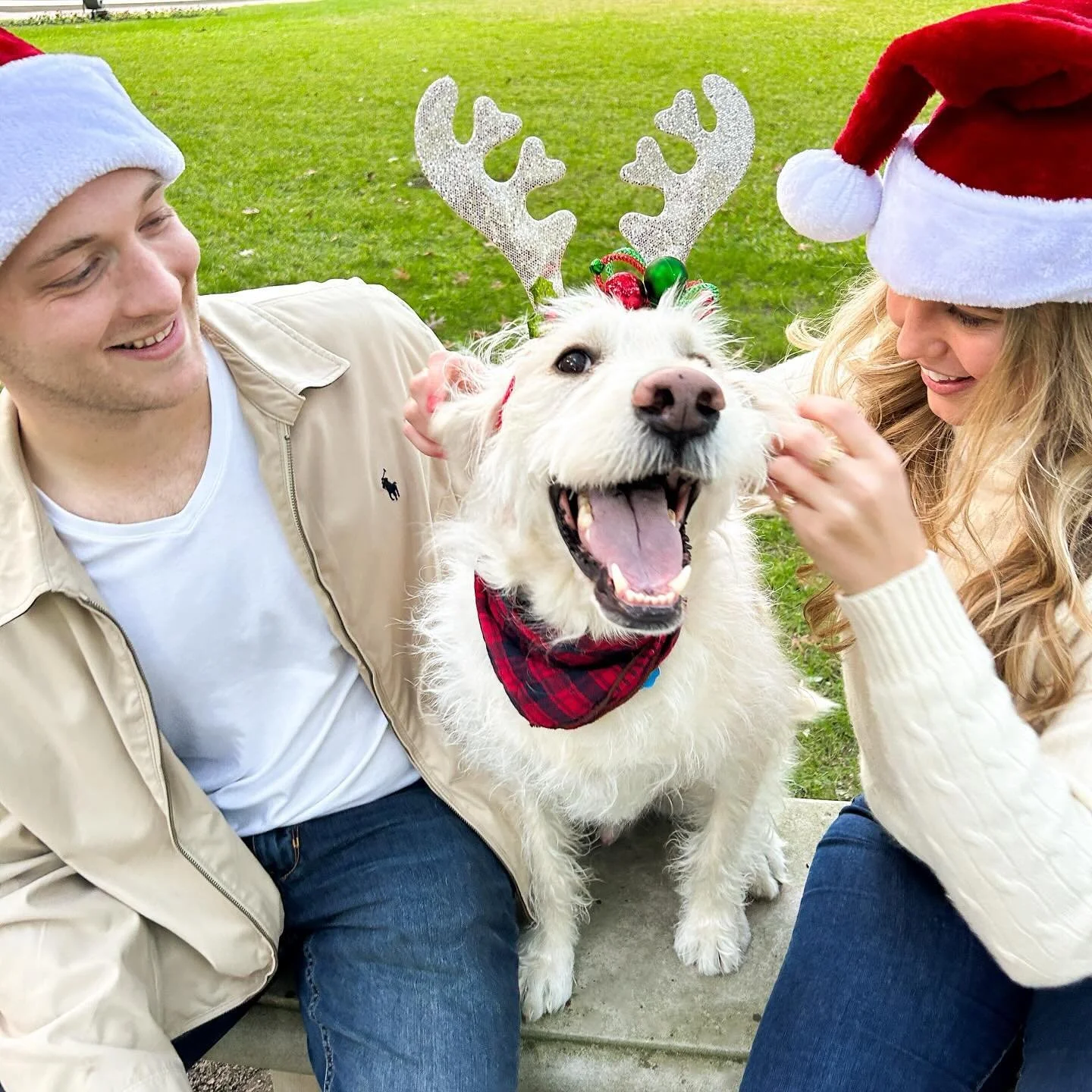Feliz Navidog 🎄