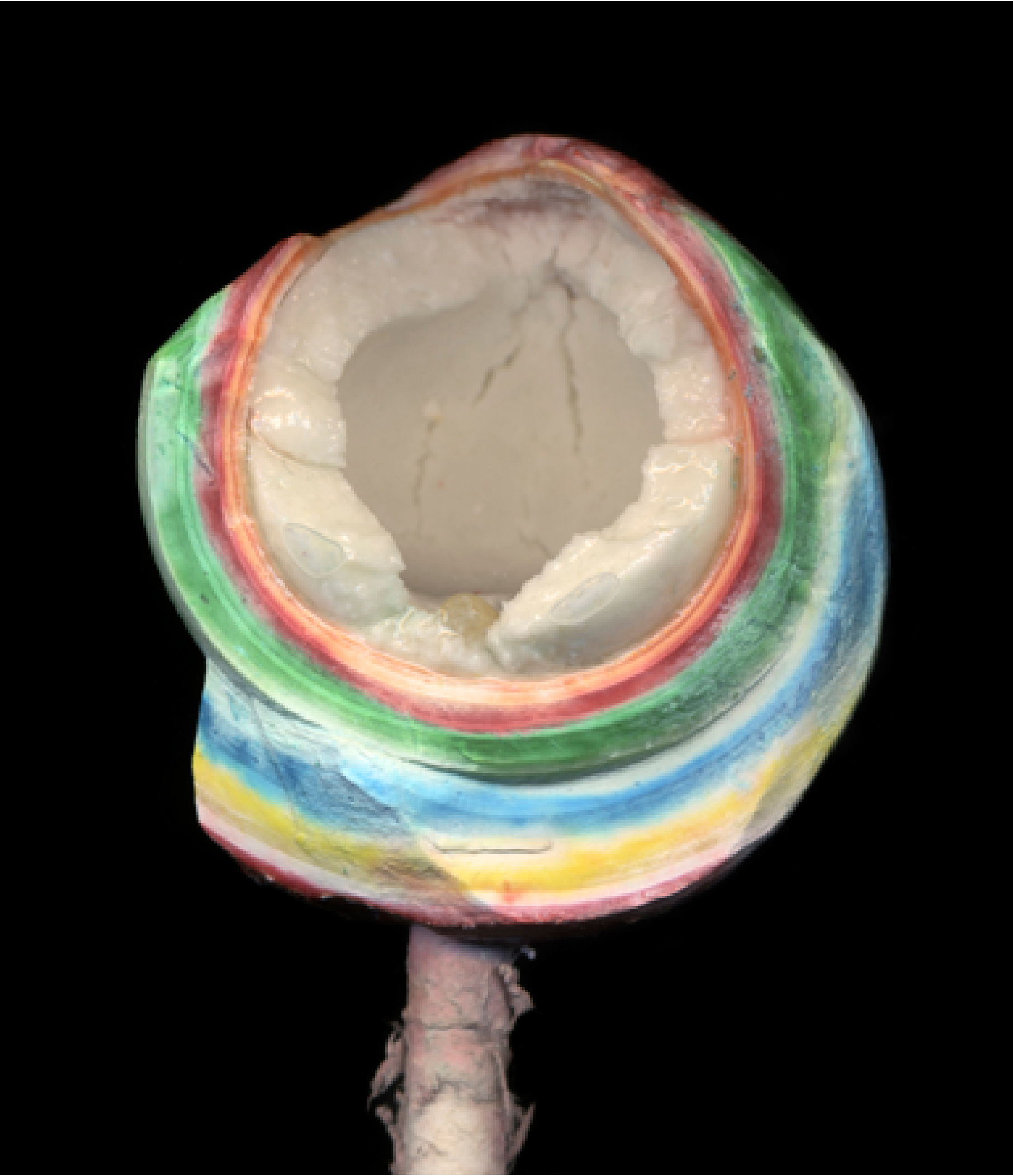 Worlds Largest Jaw Breaker (after 5 Days)