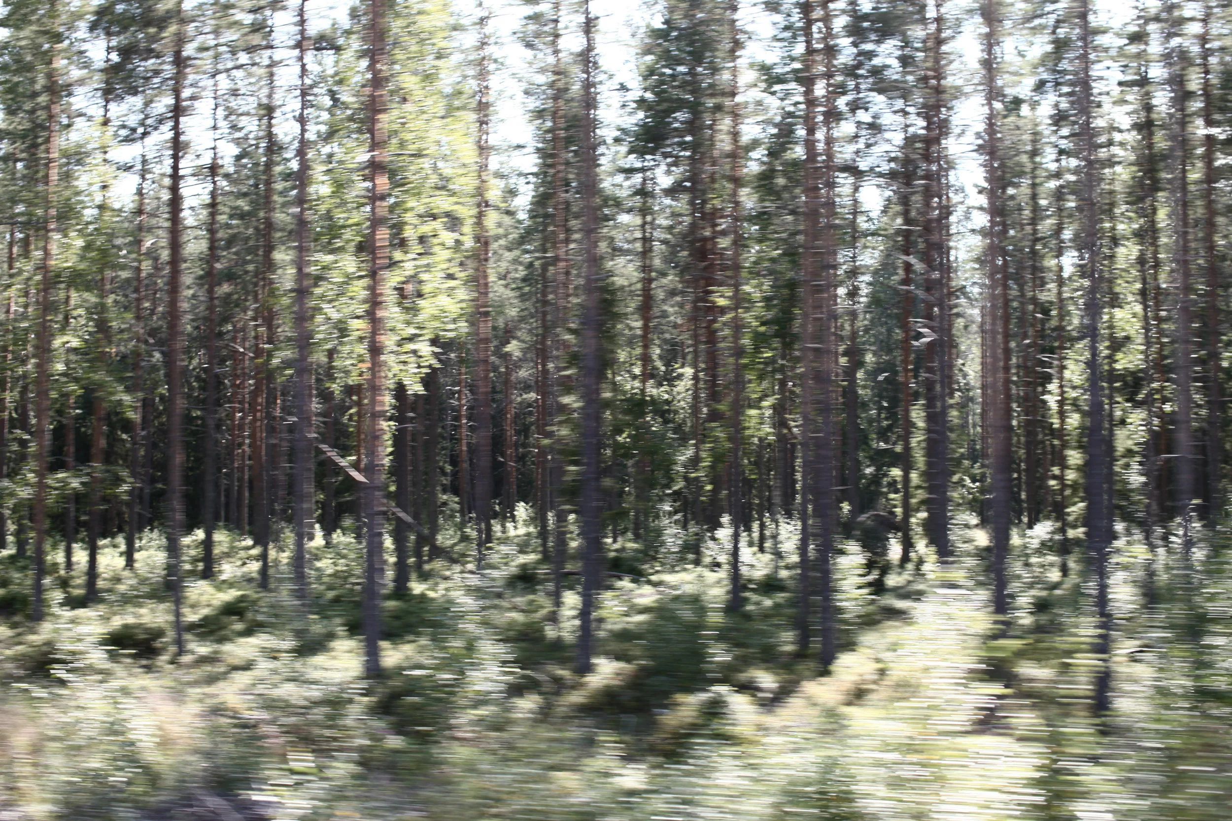 schweden16001IMG_4196.jpg