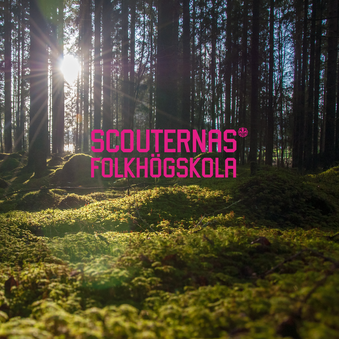 ScouternasFolk_01.png