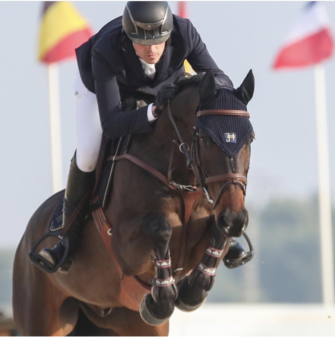 jumping horse.png