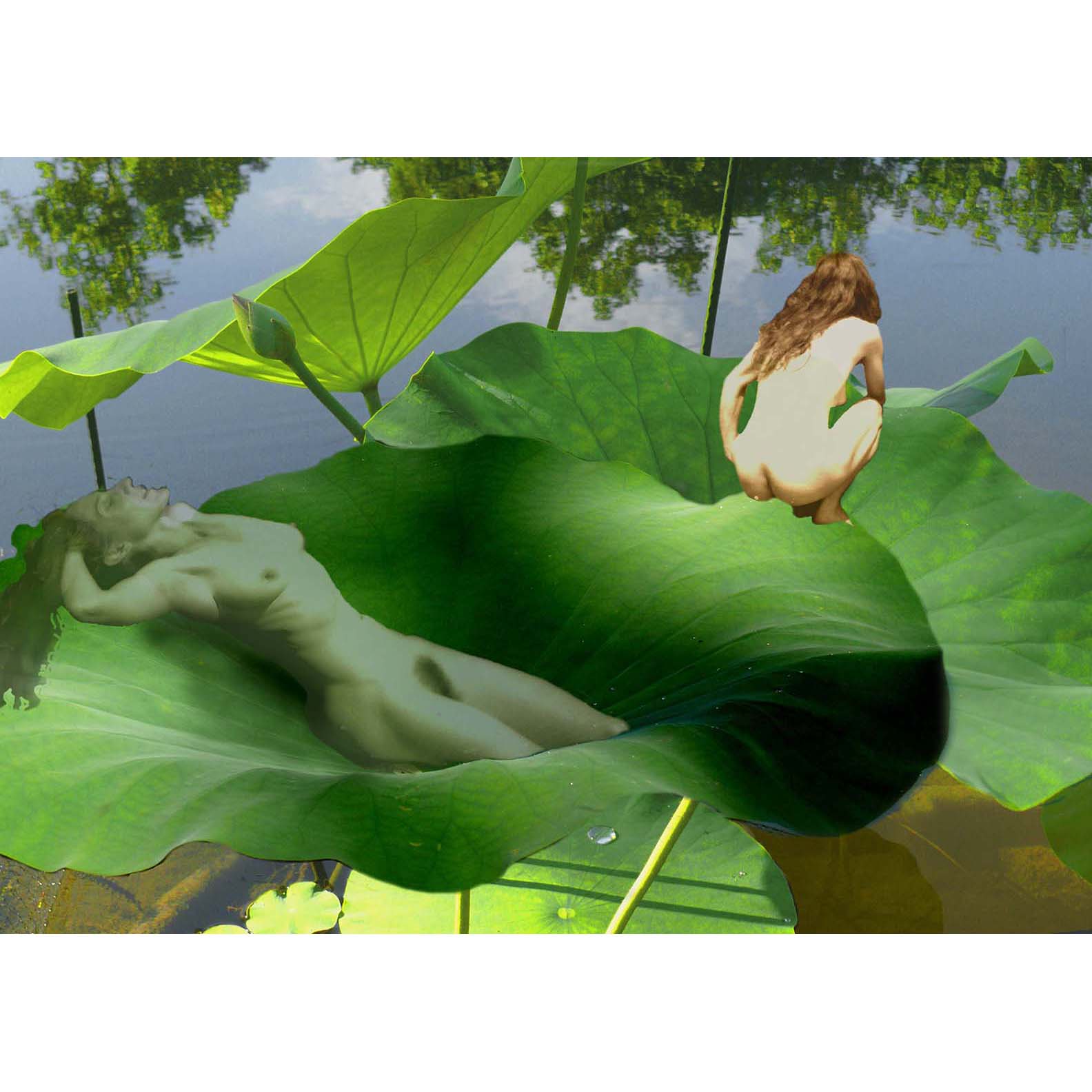 lotus pods with nudes  psd.jpg