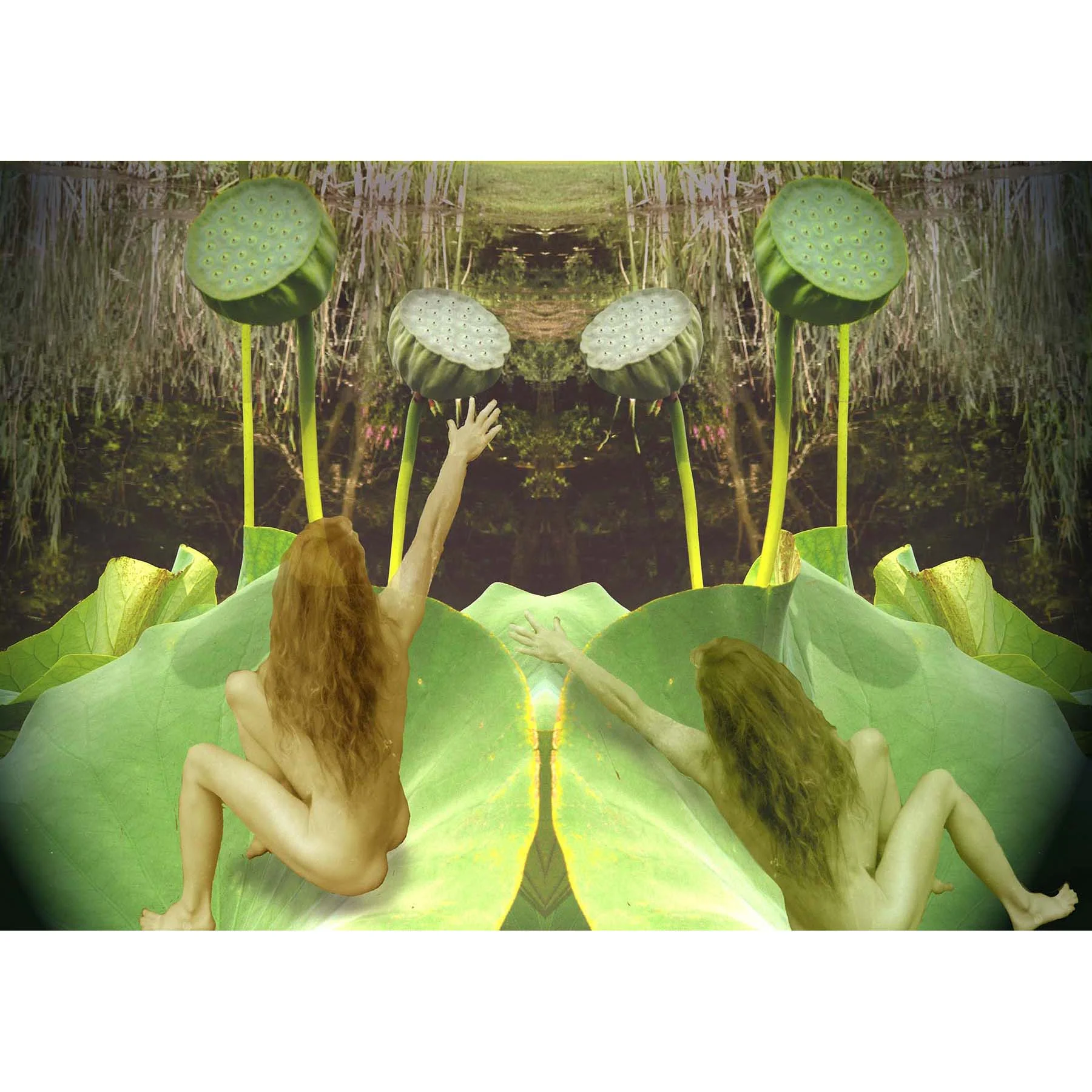 reaching for it .jpg