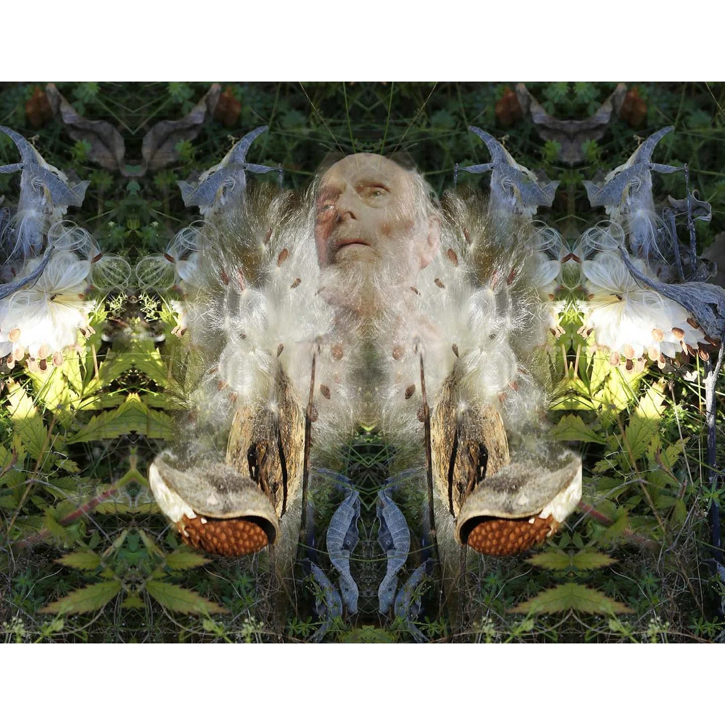 then leaving the earth .. copy copy.jpg