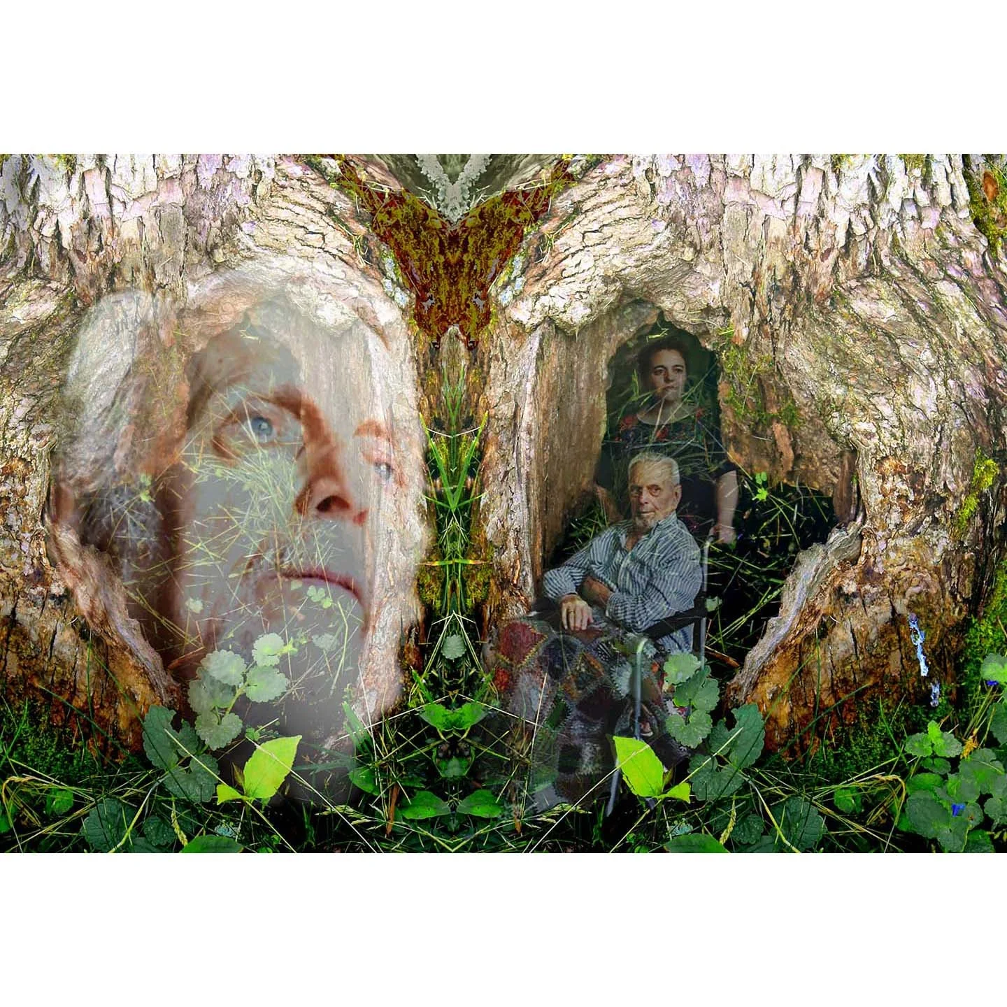 dedicated to web .jpg