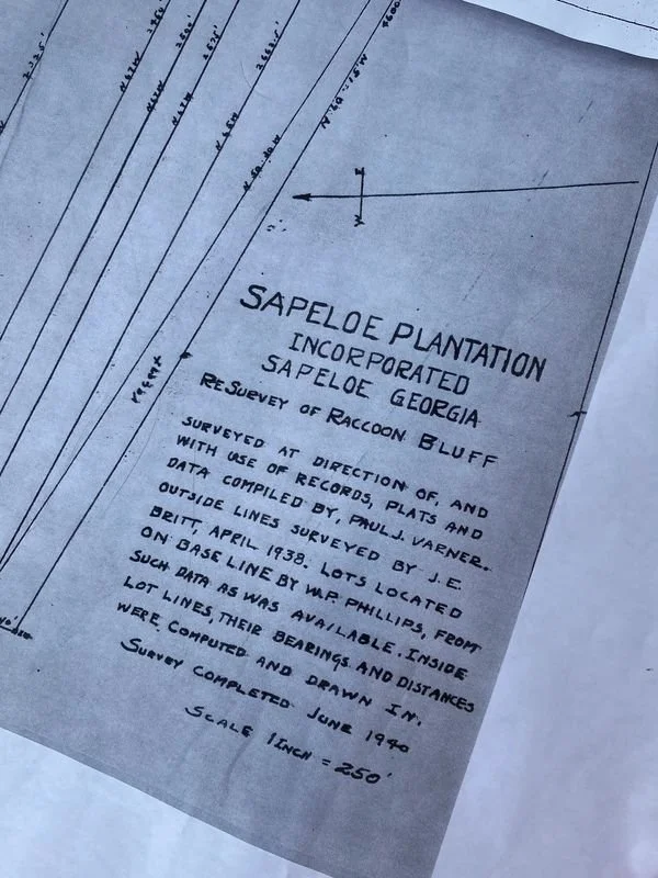 Donations to Black Land Matters!