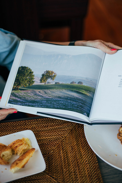 Crocus fields in Greece from Art of the Harvest by Claire Cheney