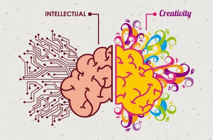 Why The Brain Thrives on What It Fears Most