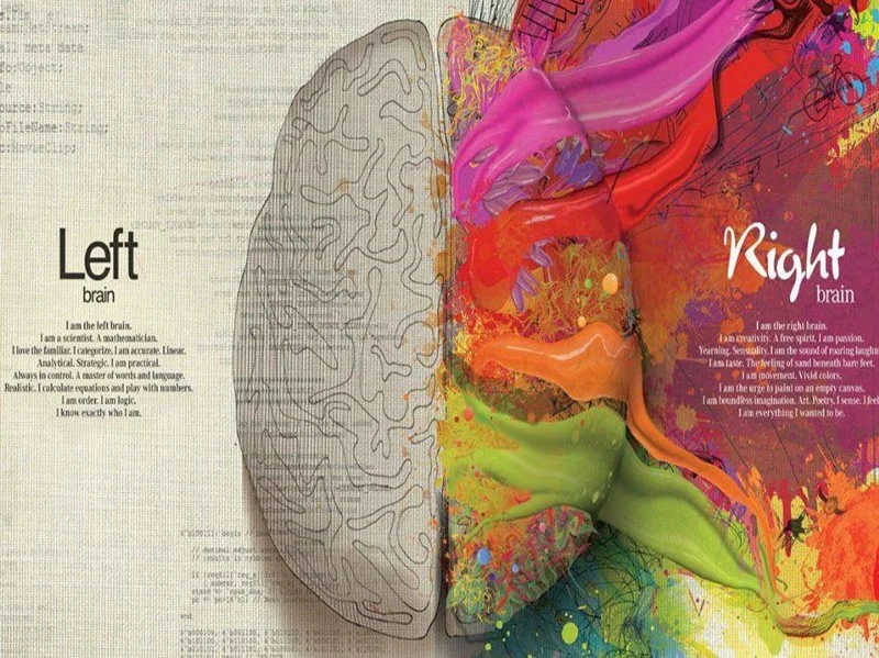 The Right Brain vs. The Left Brain: Do We Have a Choice?