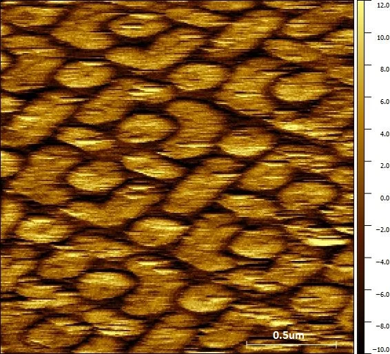 SRAM Cells