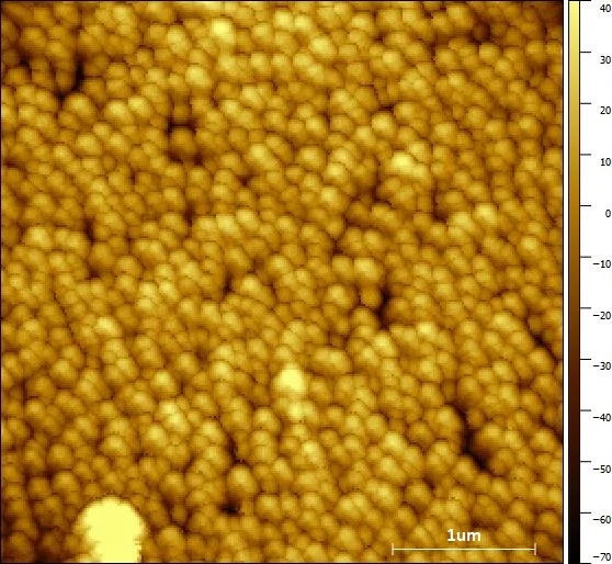 Gold nanoparticles