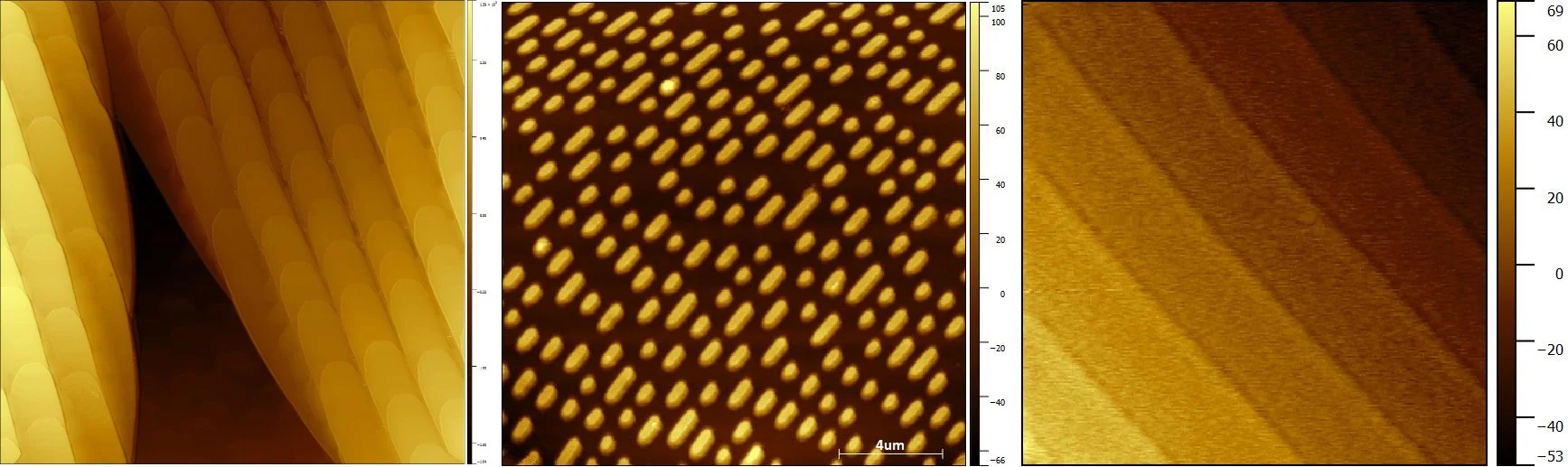 Images of a butterfly wing, DVD bits, and silicon carbide lattice steps taken with an nGauge AFM.
