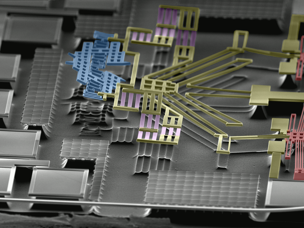 Colourized SEM Image of a single-chip AFM