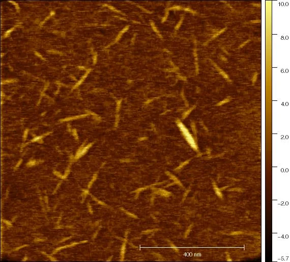 Cellulose nanocrystals (CNCs)