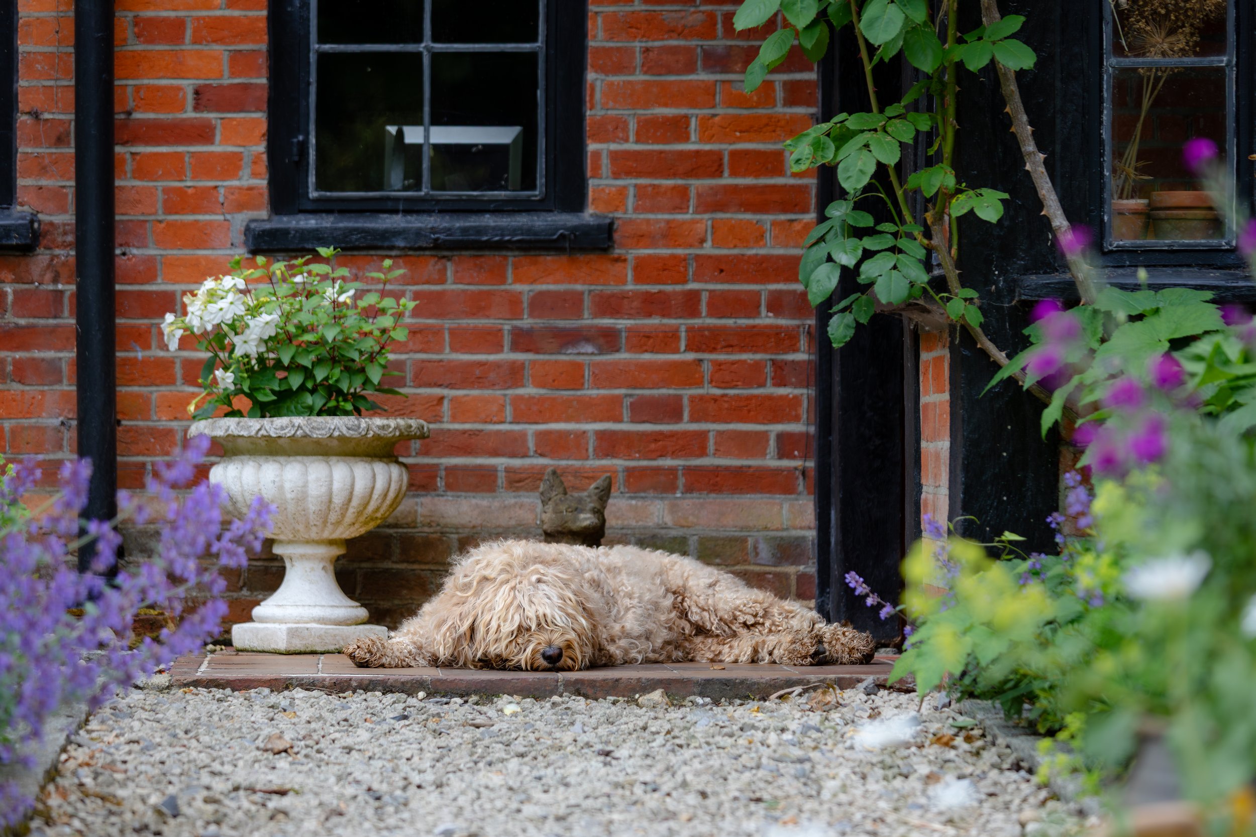 Neatham Manor-30.jpg