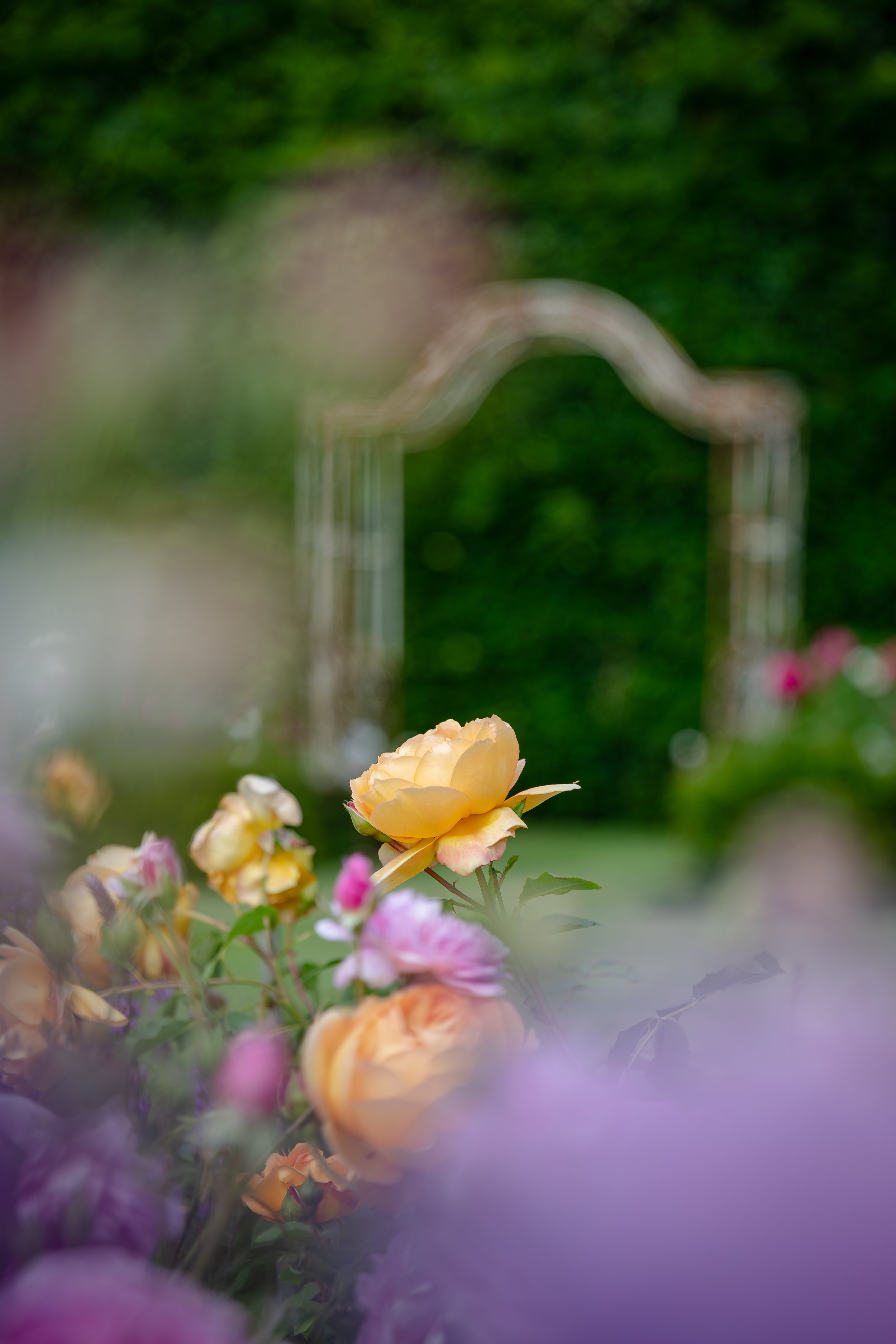 Neatham Manor-82.jpg