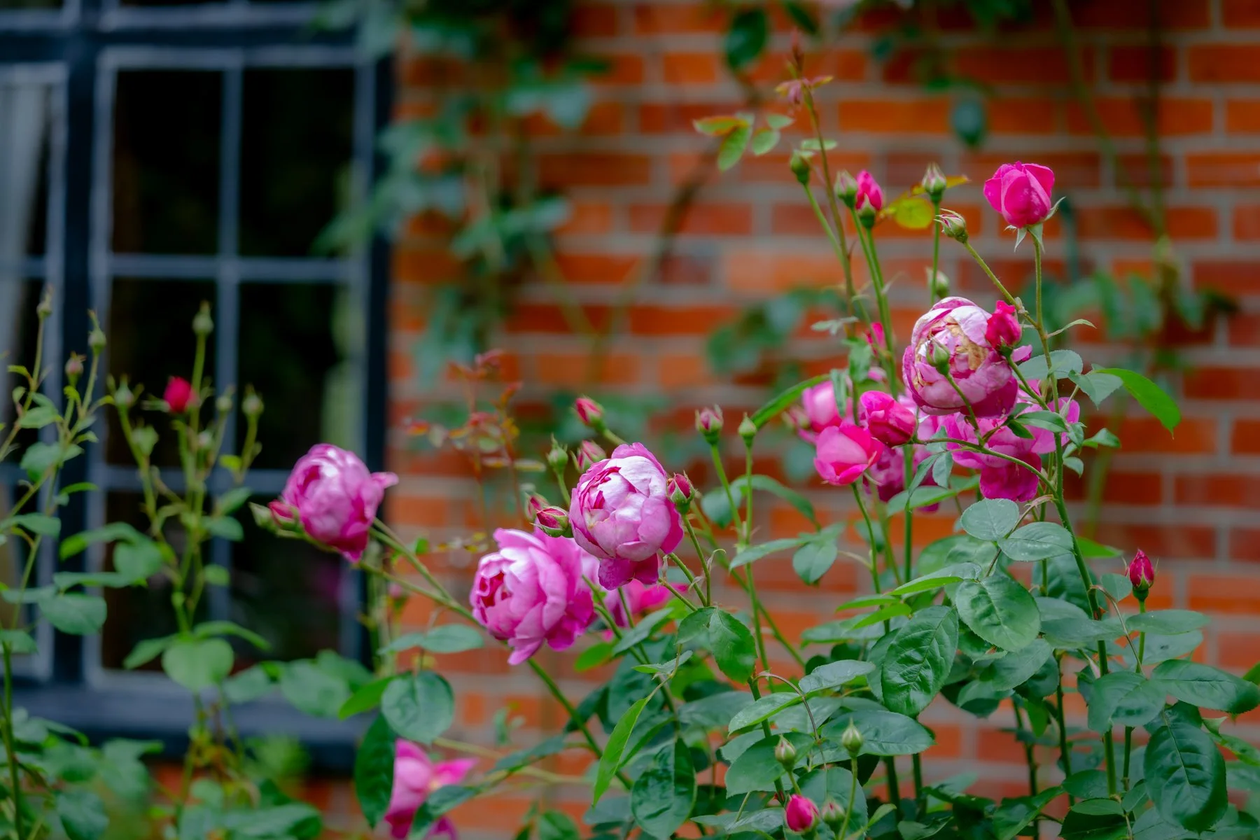 Neatham Manor-25.jpg