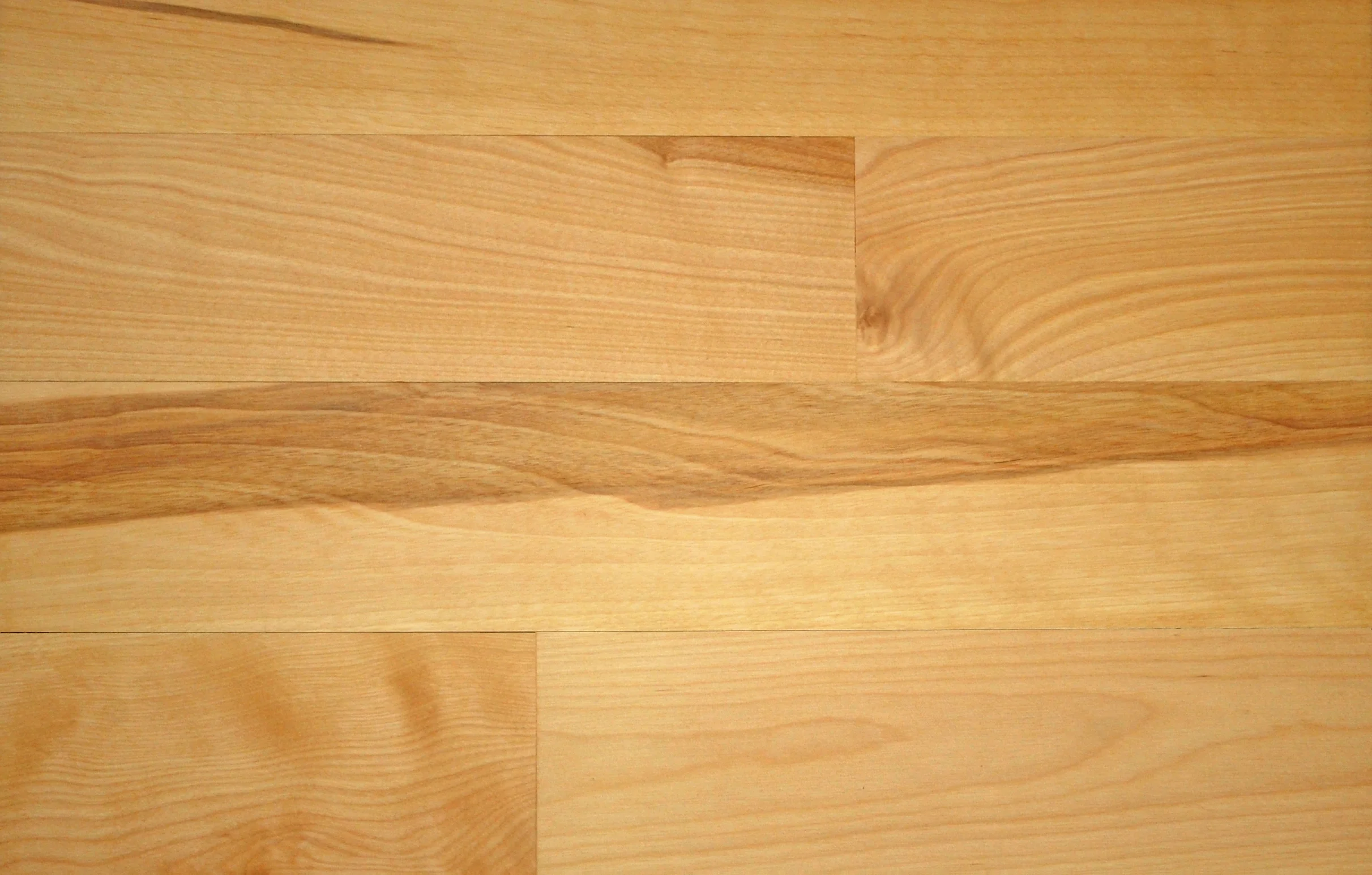 4899-YELLOW-BIRCH.jpg
