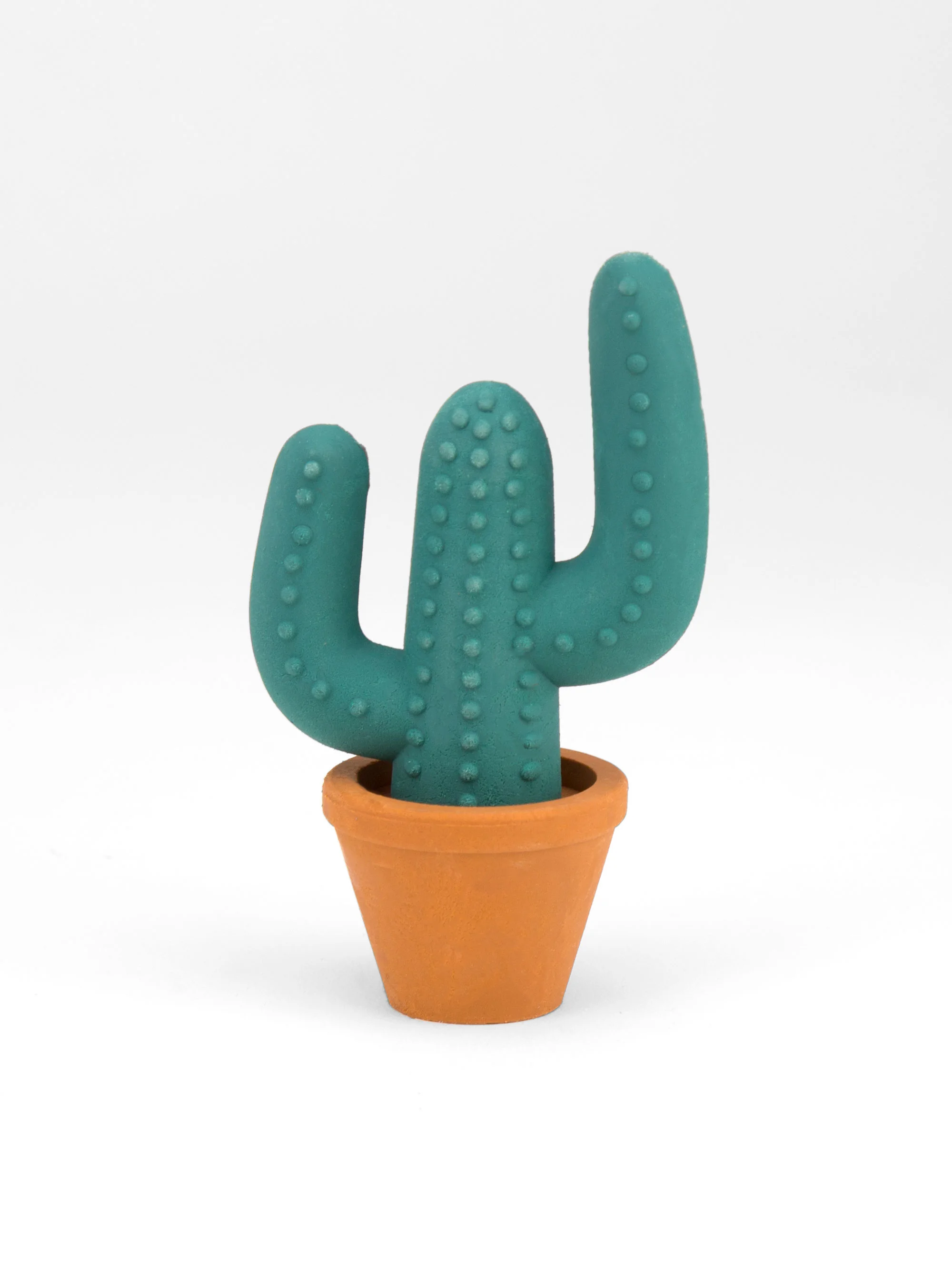 2130U_CactusEraser_OTPKG.jpg